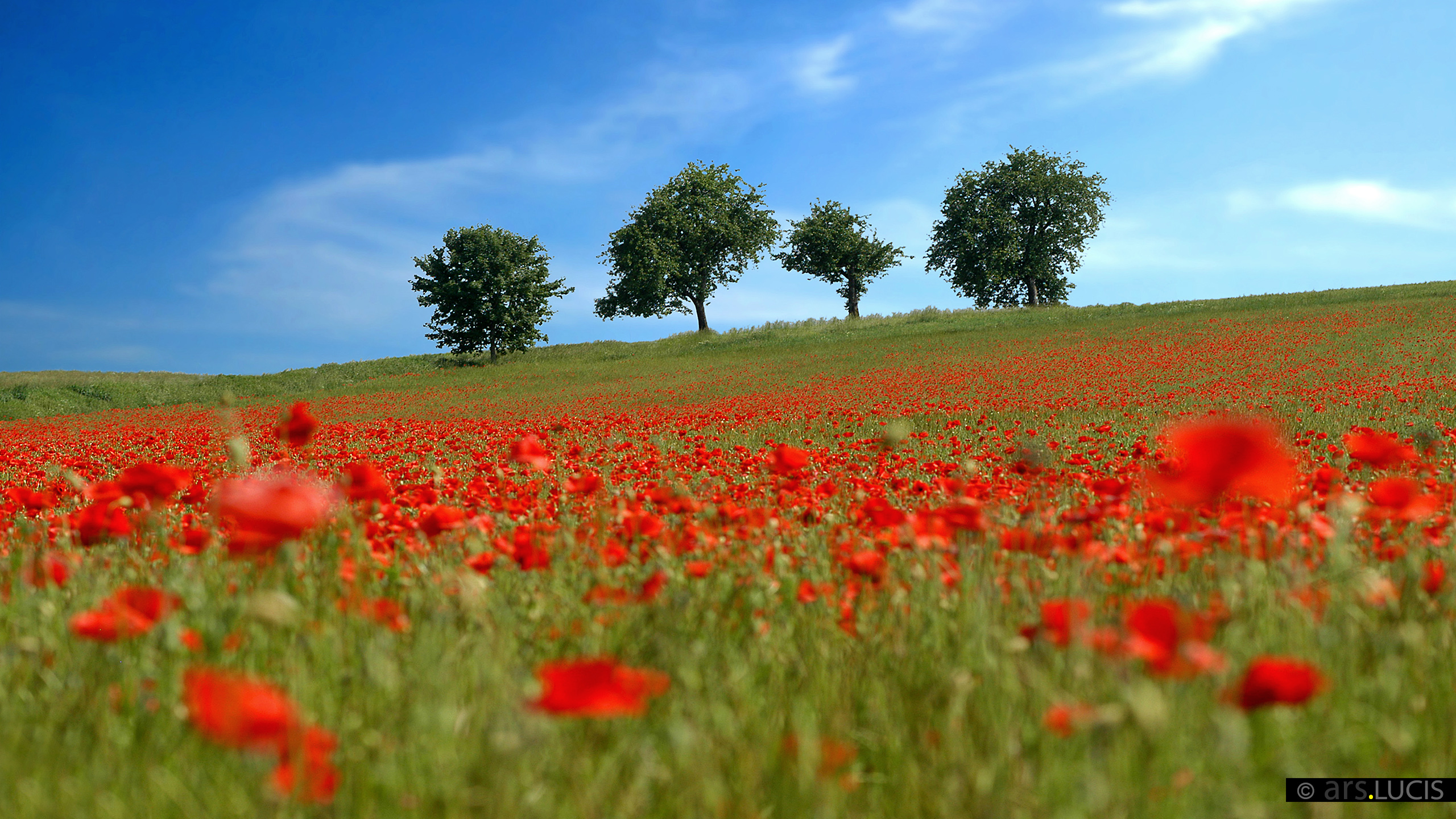 Bilderbuch-Landschaft-2