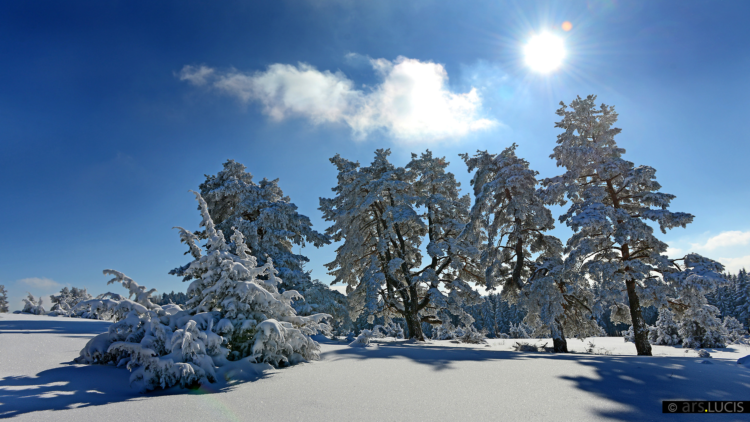 Bilderbuch-Landschaft-3