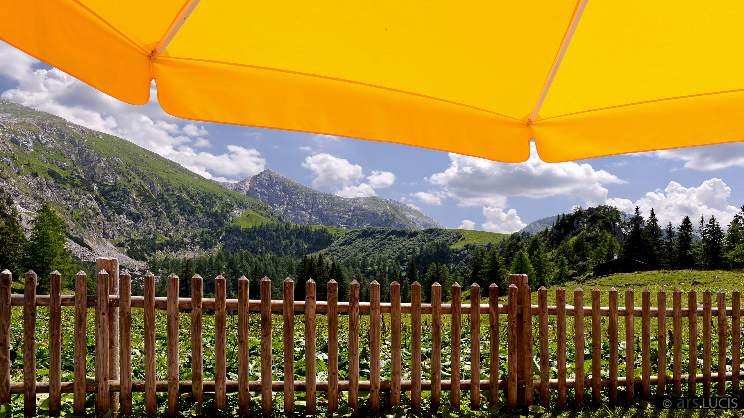 Bilderbuch-Landschaft-4