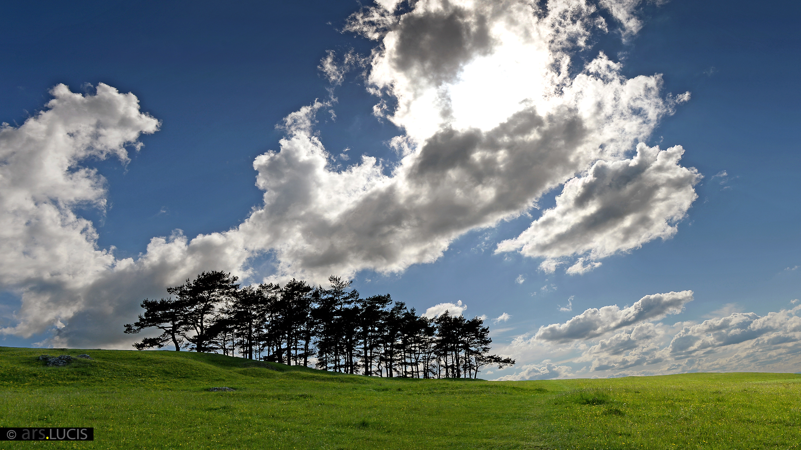 Bilderbuch-Landschaft-7