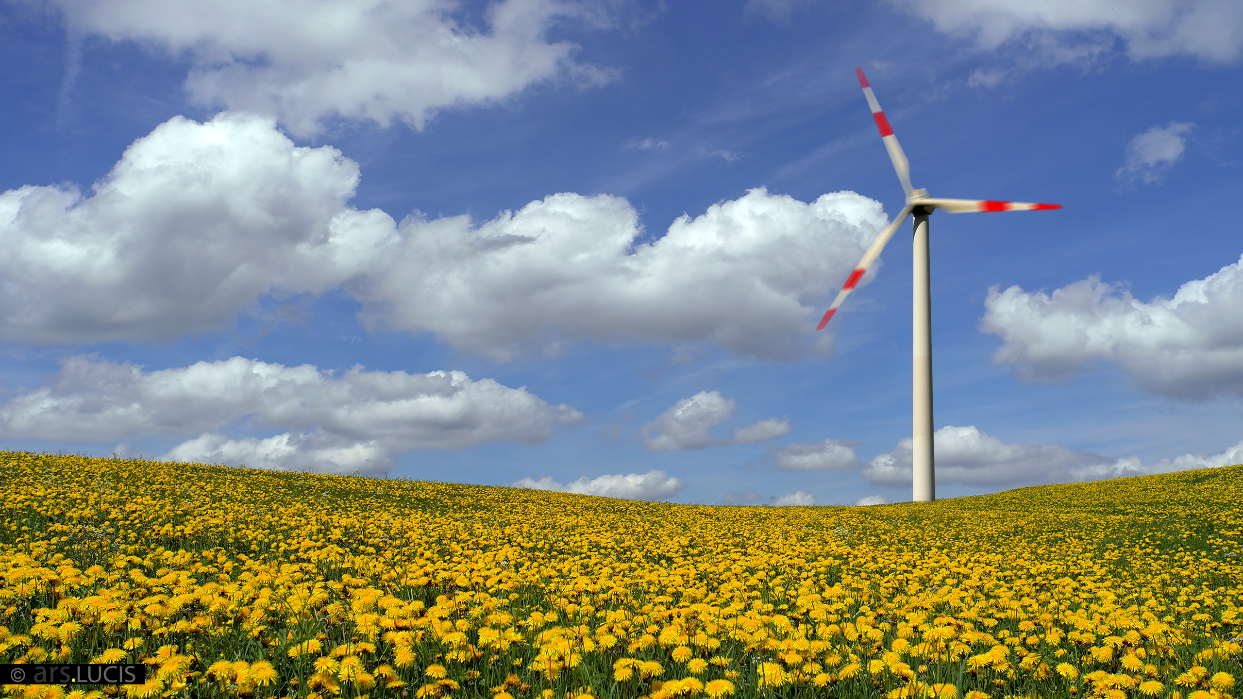 Bilderbuch-Landschaft-9