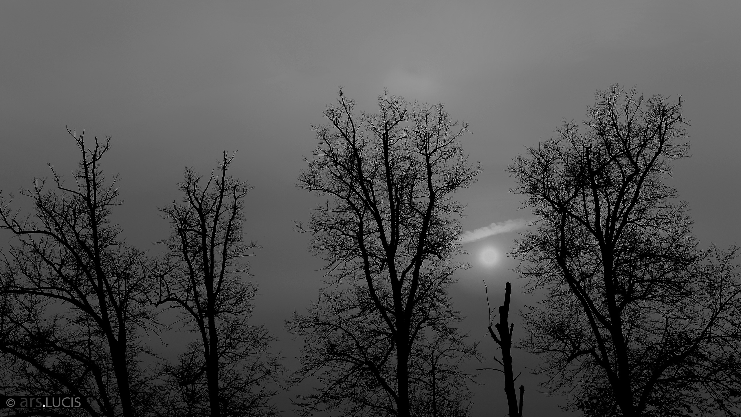 Bilderbuch-SchwarzWeiss-2