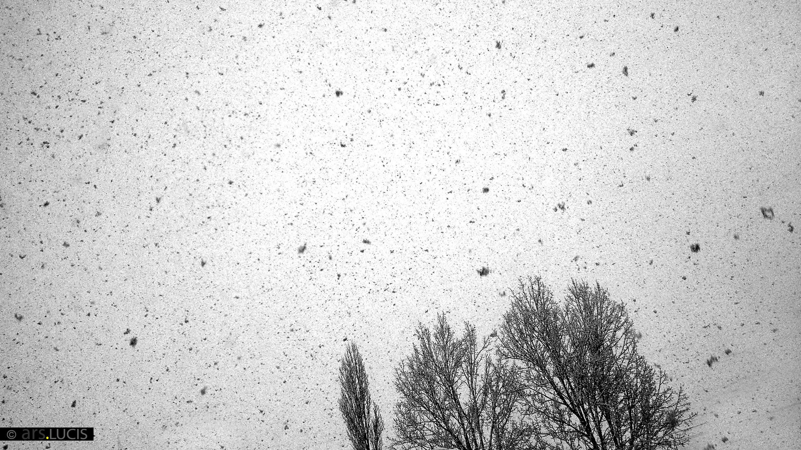 Bilderbuch-SchwarzWeiss-4