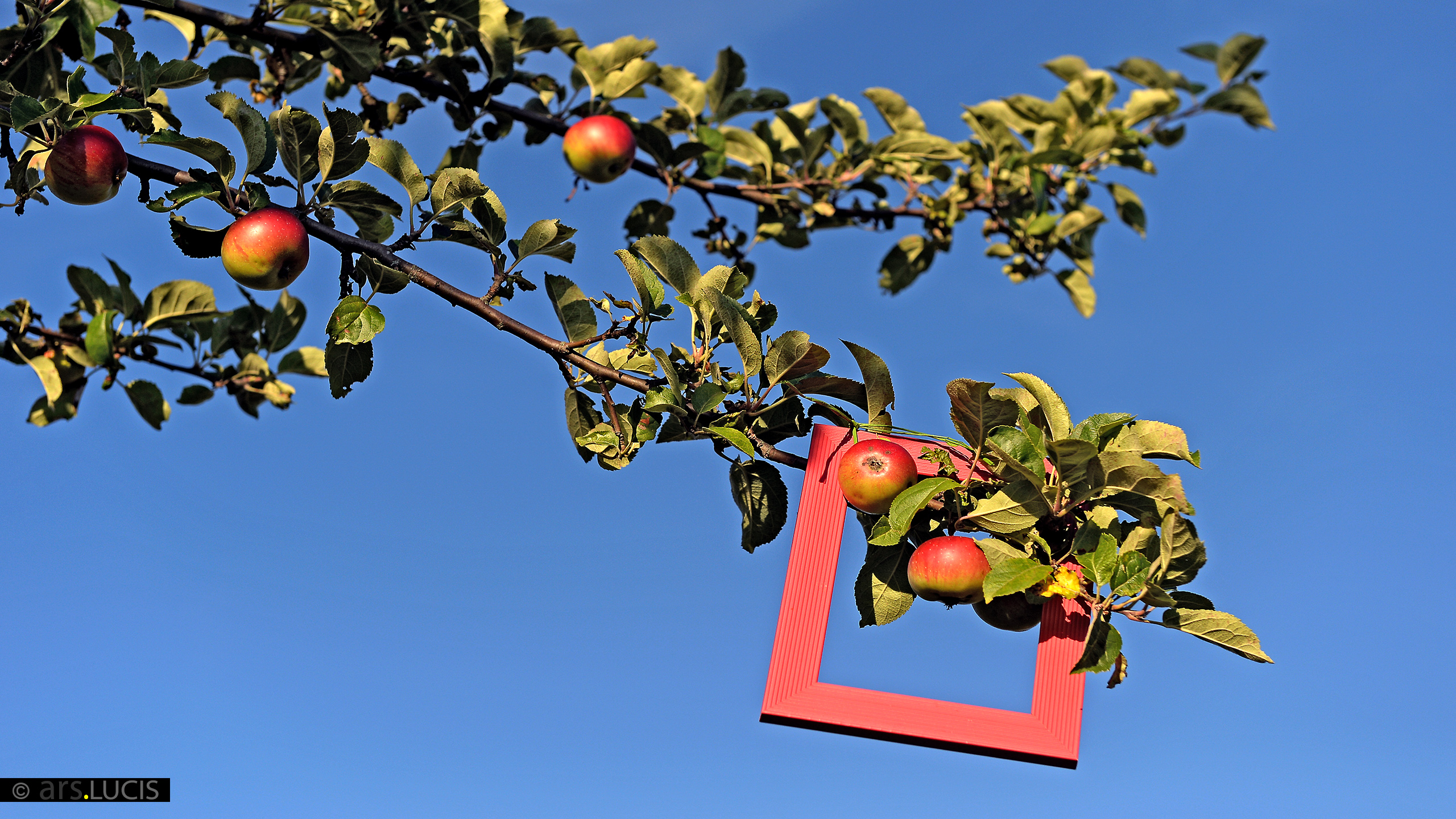 Bilderbuch-Momentum-5