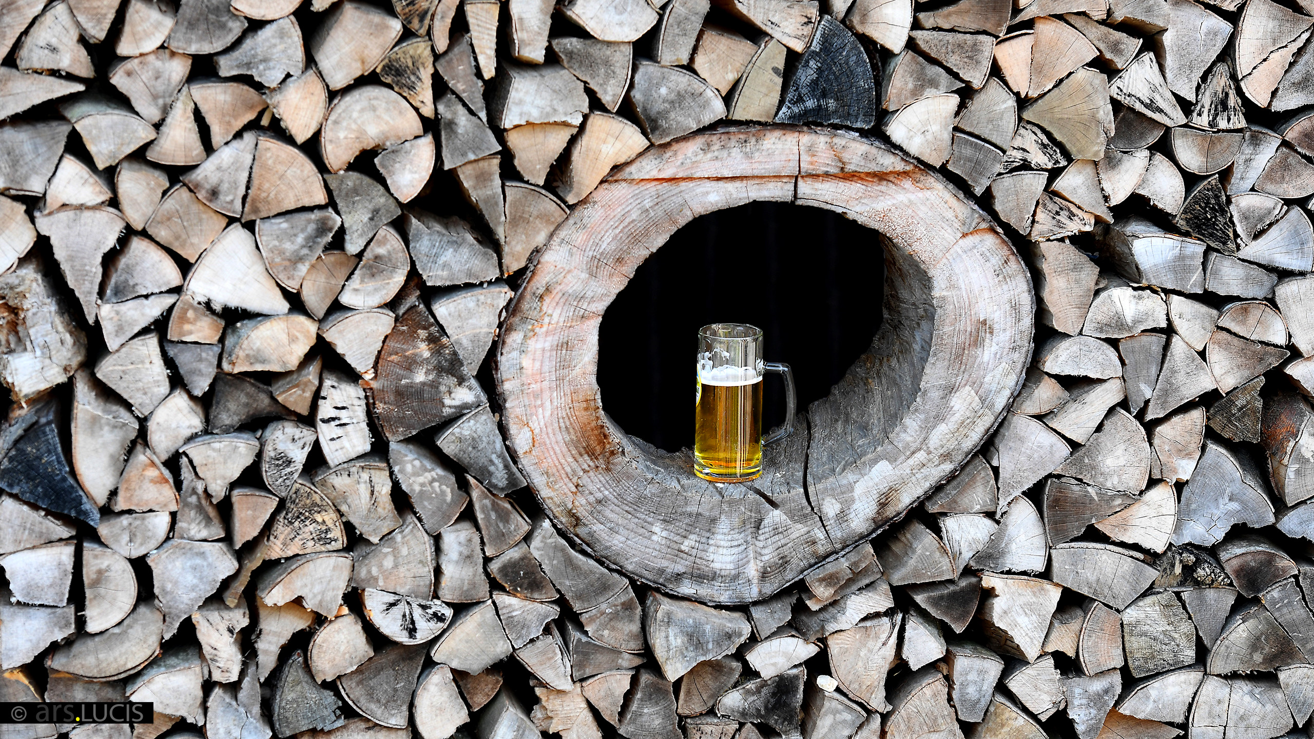 Bilderbuch-Momentum-7