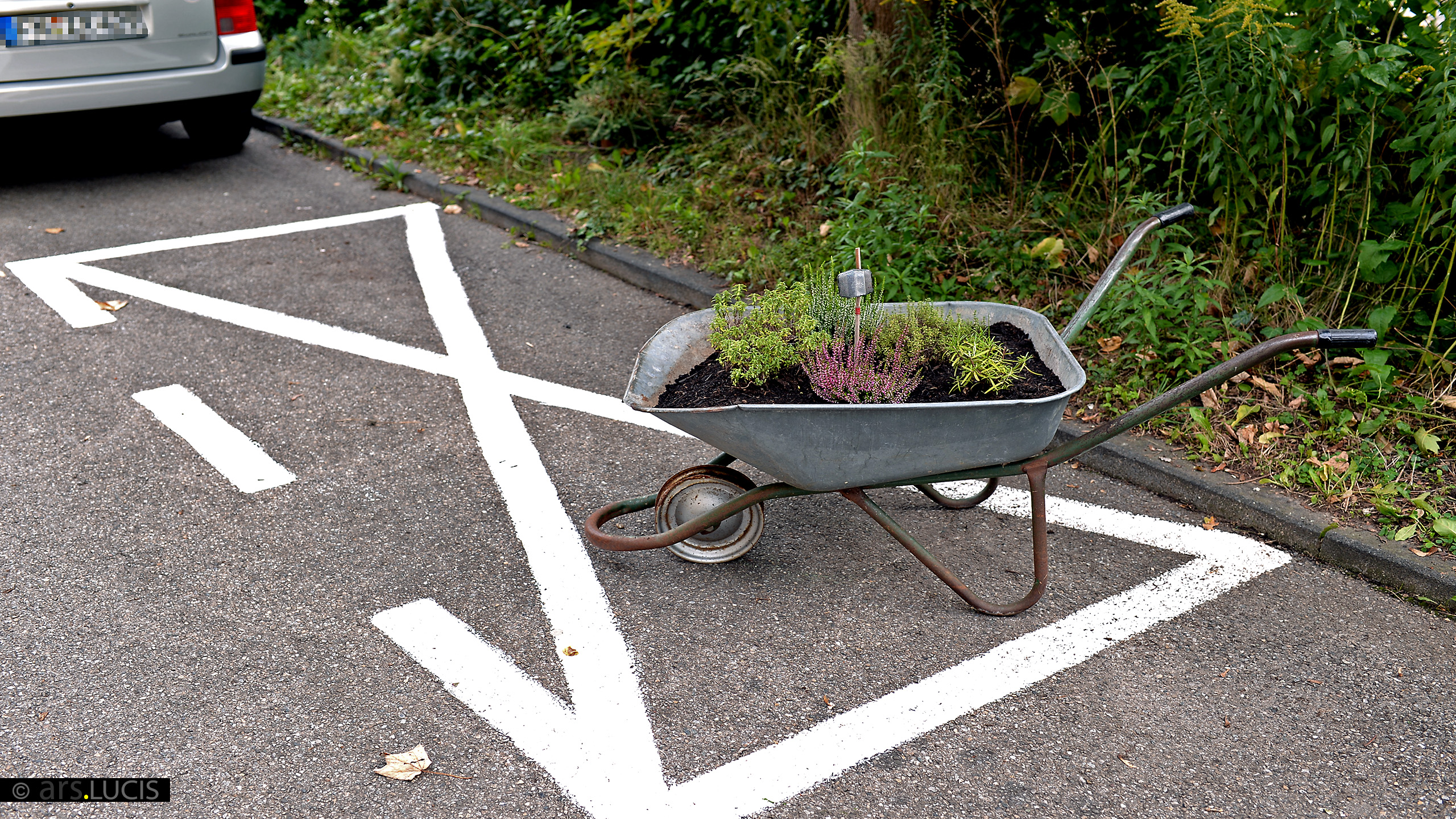 Bilderbuch-Momentum-8